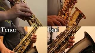 Download lagu J.Pachelbel/Canonを多重録音で吹いてみた mp3