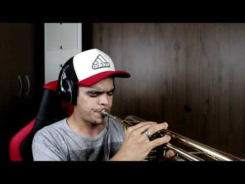 Marshmello ft  Bastille   Happier   Trumpet Cover