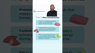 What Are Macronutrients? Everything You Need to Know 🔥