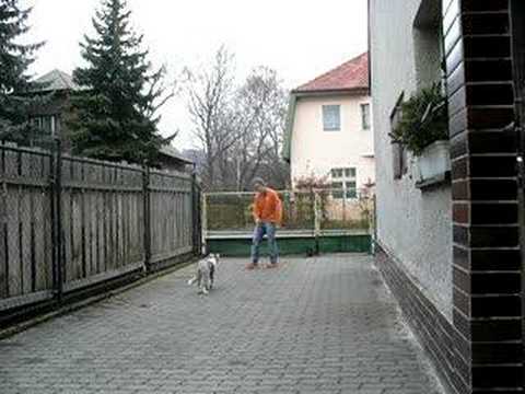 Beauty and Nicoletta at home