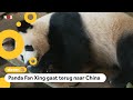 Hoe verhuis je een reuzenpanda?