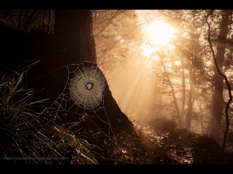 Fotografieren lernen: Weitwinkel Festbrennweite verwenden - Motivation und Aufgabe