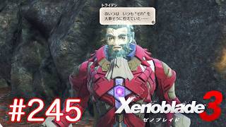 巡る命を追いかけて ゼノブレイド3を初見実況　part245