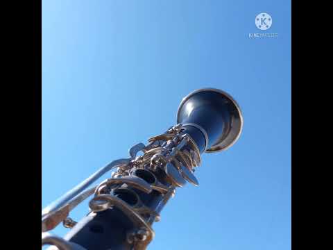 TECLADO E CLARINETE - ELANDRA FRANCO