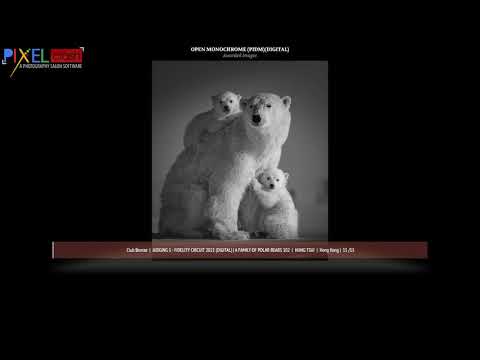 Monochrome Photography Awarded Images Judging 1 Fidelity Circuit