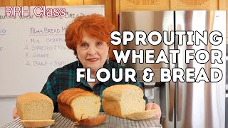 RRH Class: Sprouting Wheat for Flour & Bread