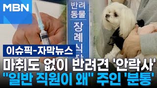 [자막뉴스] 마취도 없이 반려견 '안락사'…＂일반 직원이 왜＂ 주인 '분통' | 이슈픽