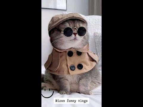 Funny cats video_ Best Cats😹 and Dogs🐶 Videos of 2023