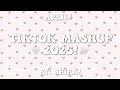 TikTok Mashup 2025