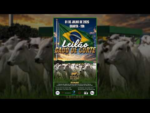 LEILÃO GADO DE CORTE ESTRELA DO AGRO LEILÕES  FAINA-GO 01/07/2026 | Leilão ao Vivo - Leilão de Gado