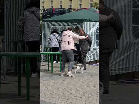 BLESK FORTUNI OXYGEN, 3 months old