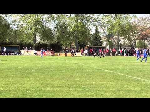 Blau Gelb Goldbeck - Heide Letzlingen