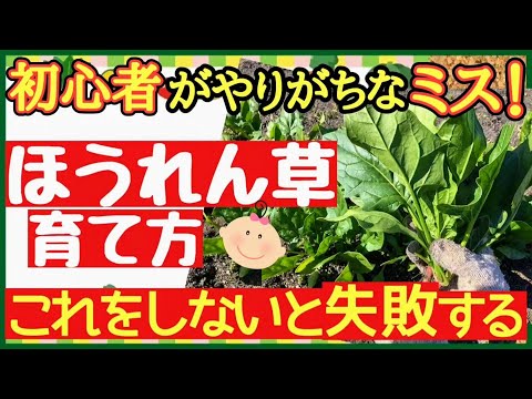 春の息吹を感じる3月に庭で何をしましょうか？ 2月の準備の後、3月に何を植え、種をまき、収穫するでしょうか？  庭園