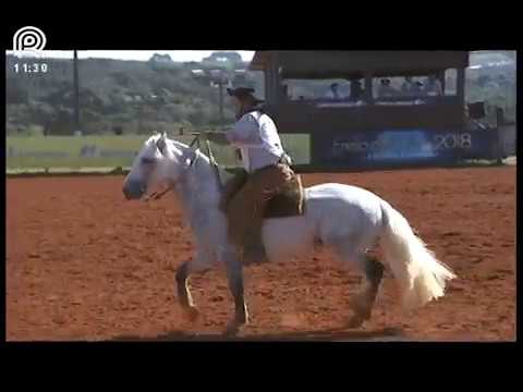 Classificatória Região SC/PR – 1° lugar machos – Ambicioso da Arkafla (Prova: Bayard/Sarmento)