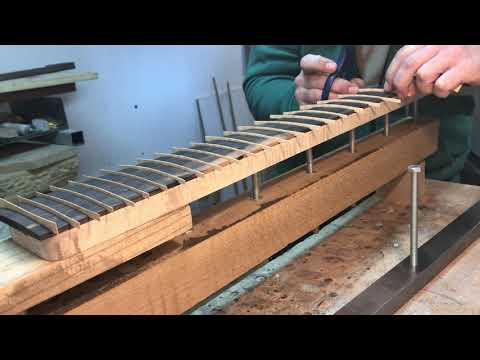 NEW WoodGuerilla - RIAbass Nenad Vasilic Signature V Fretless Part6