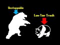 What Kind of Bear is Truly Best? | The Bear Tier List