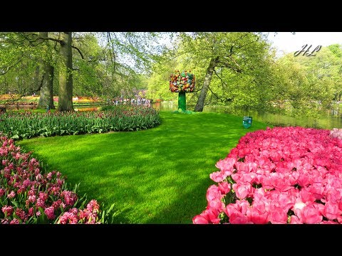 Beautiful spring garden Keukenhof 2018 - In the evening