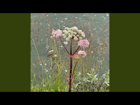 Ó, mín flaskan fríða