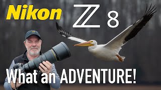 Nikon Z8 Bird Photography 600mm f/6.3 VR PF Lens