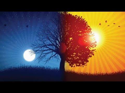 528Hz Release Inner Conflict & Struggle, Anti Anxiety Cleanse, Release Worry, Anxiety