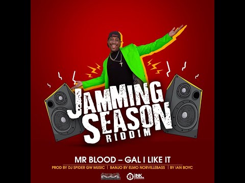 Mr Blood - Gal I Like It [Jamming Season Riddim] Official Lyric Video