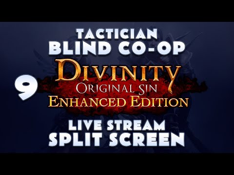 DIVINITY ORIGINAL SIN ENHANCED EDITION | BLIND CO-OP SPLITSCREEN STREAM | PART 9
