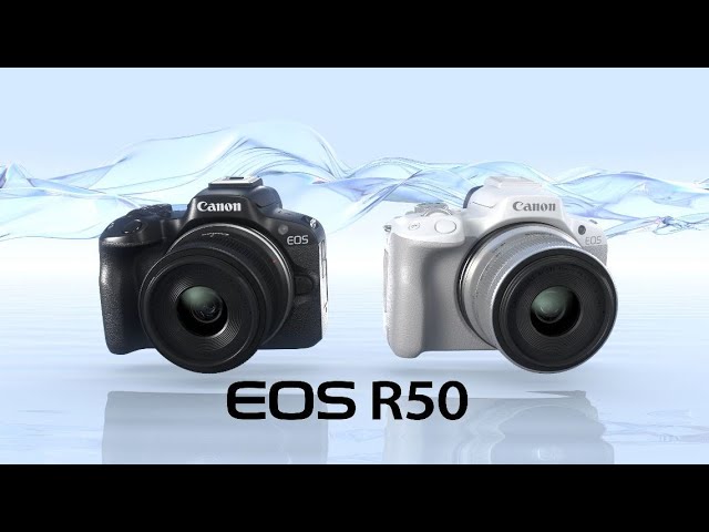 Corpo WiFi Canon EOS R50 da 24,2 MP video