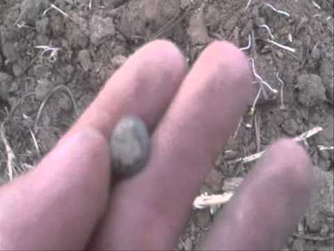 Moje Wykopki Odc.117 (SE02 E17)