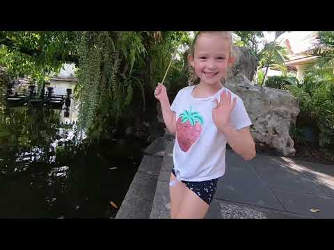 Wat Prayoon : The Turtle Temple