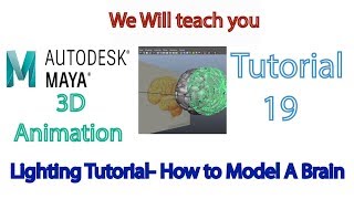 Autodesk Maya Tutorial  19, Lighting , How to Model A Brain in Maya