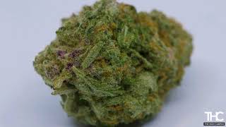 Cotton Candy Kush Visual