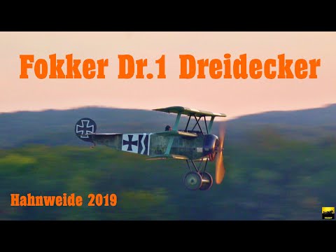 Fokker Dr1 Dreidecker - Mikael Carlson - Hahnweide 2019