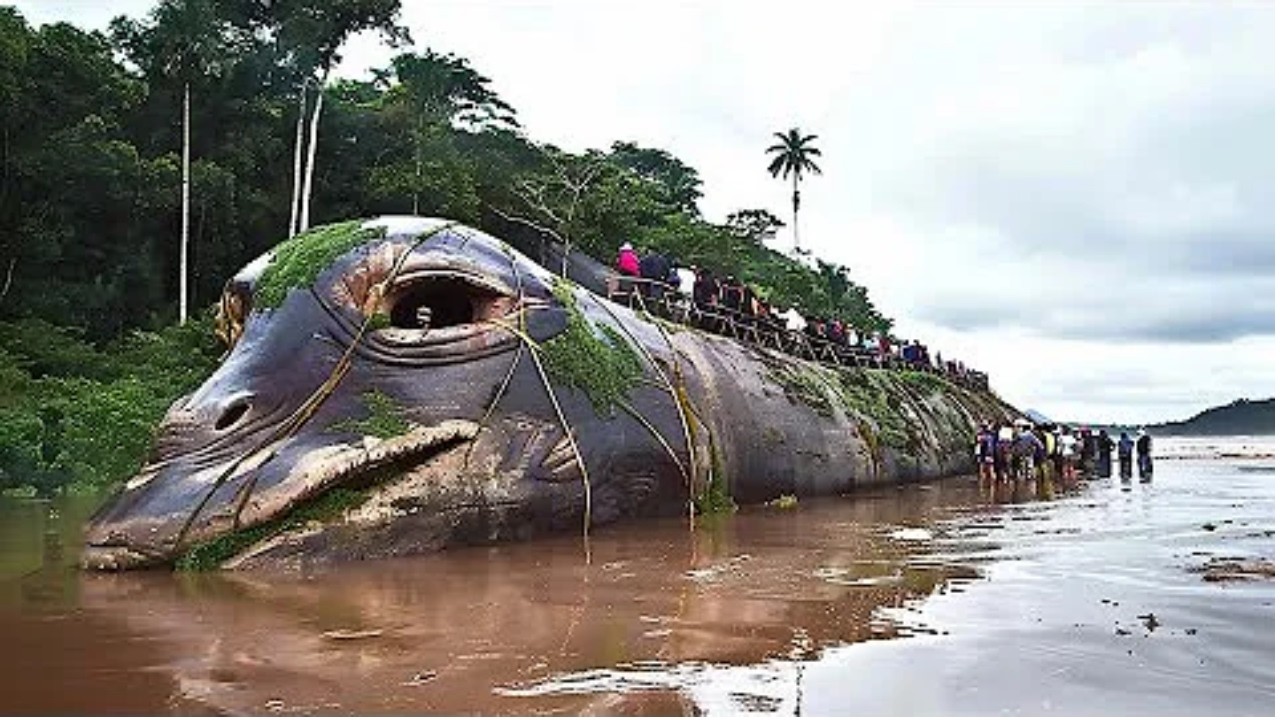 NOVA DESCOBERTA ASSUSTADORA DE CIENTISTAS ESCONDIDA NA AMAZÔNIA