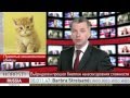 Кошки и "мимими" угрожают России 