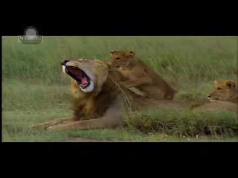 Luanet 2 - Dokumentar Shqip HD Natyra