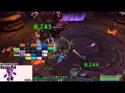 WoW WoD: How to Twin Ogron - Highmaul HC and Normal Boss Guide - Resto Druid PoV