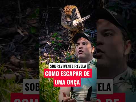 O ERRO FATAL AO ENCONTRAR UMA ONÇA SELVAGEM #curiosidades #onça #sobrevivência #cortes