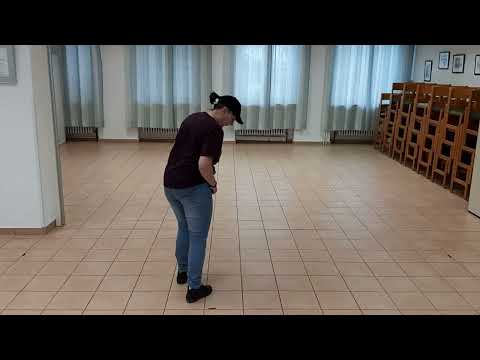 P3 Learning Video Teach & Dance Line Dance Bee Part 1