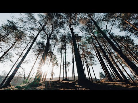 Vinyl Dub Techno Mix - Verdant Recordings (Andy Green) - Drift Deeper Guest Mix 048