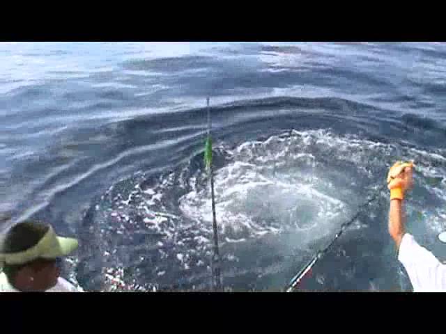 Tropical Waters Sport Fishing B