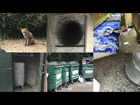 OUT NOW! Leevil feat. John Amplas: An American Caretaker in London...