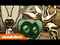 Avatar: la Leyenda de Aang | Momo el Lemur | Nickelodeon en Español