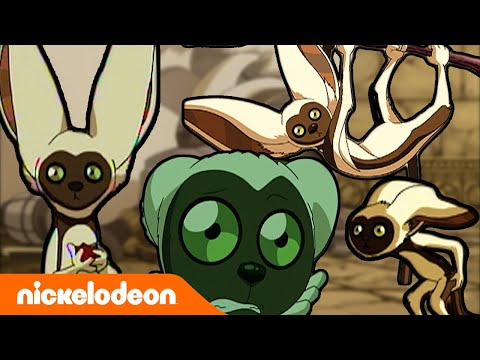 Avatar: la Leyenda de Aang | Momo el Lemur | Nickelodeon en Español