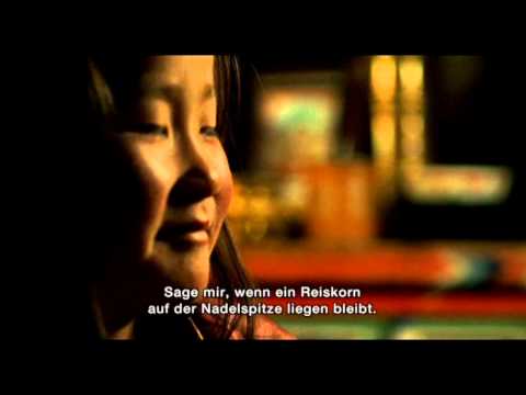 Шар нохойн там