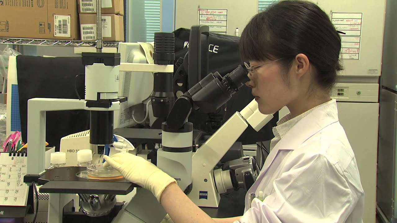 Is there a macular degeneration charity? Tipseri