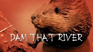 Dam That River - Nature Meets Alice In Chains