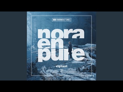 Vigilant (Extended Mix)