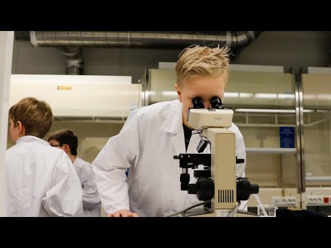 Tervetuloa Lasten yliopiston kesäleireille 2022