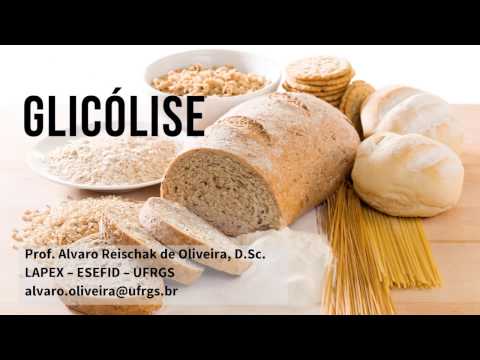 Aula 3 - Glicólise