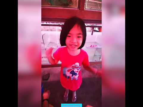 Odelia Genesis Vlog | funny kid VLogger Children video for kids #OdeliaGenesis@TheGenesisFamily